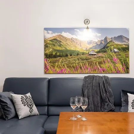 Apartamenty Okowita i Karat Zakopane-3